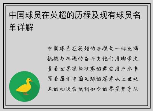 中国球员在英超的历程及现有球员名单详解